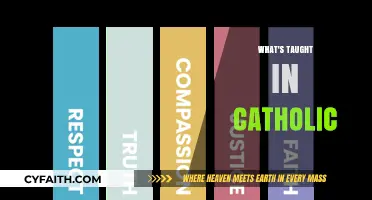 Exploring Catholic Education: Core Teachings and Values in Schools