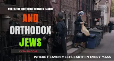 Hasidic vs. Orthodox Judaism: Key Differences and Shared Beliefs