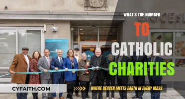 Catholic Charities: Quick Access to Support Services
