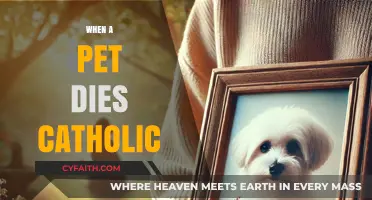 Finding Comfort in Faith: Catholic Perspectives on Pet Loss and Grief