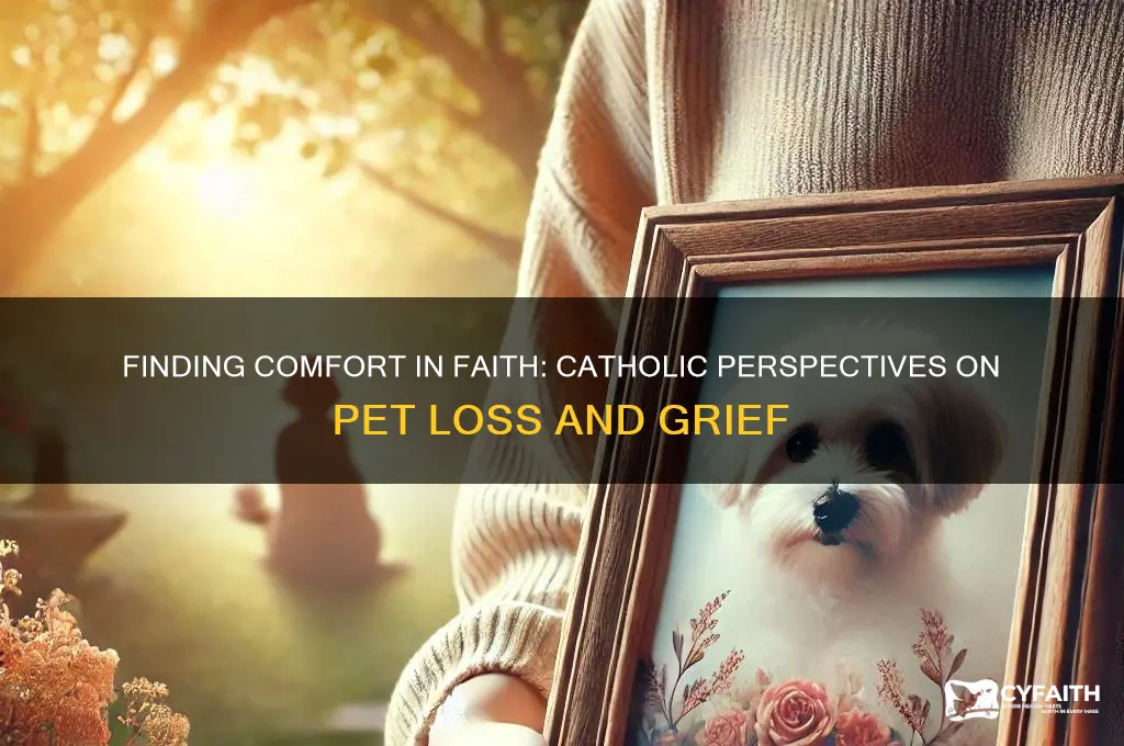 when a pet dies catholic