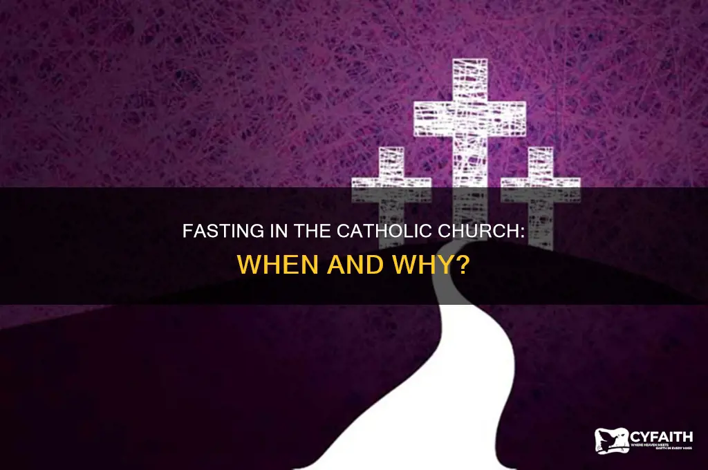 when are catholics asked to fast