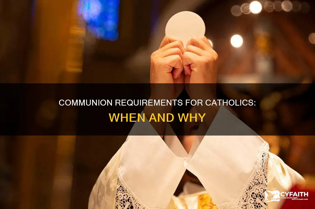 when are catholics required to receive communion