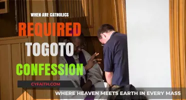 Confession Requirements for Catholics: When and Why