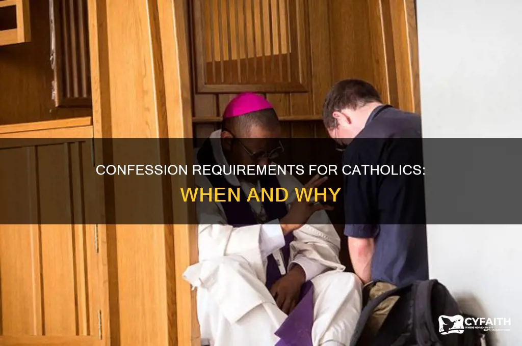when are catholics required togoto confession