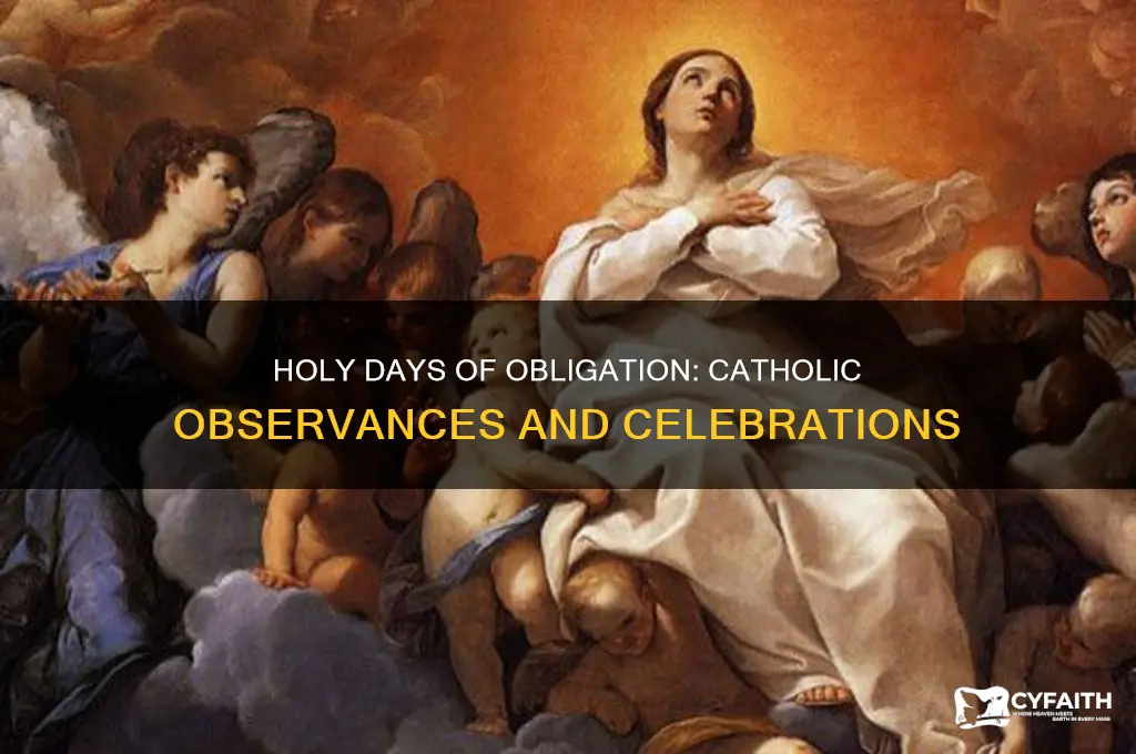 when are holy days for catholics