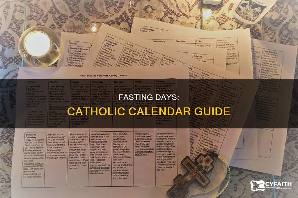when are the catholic fasting days