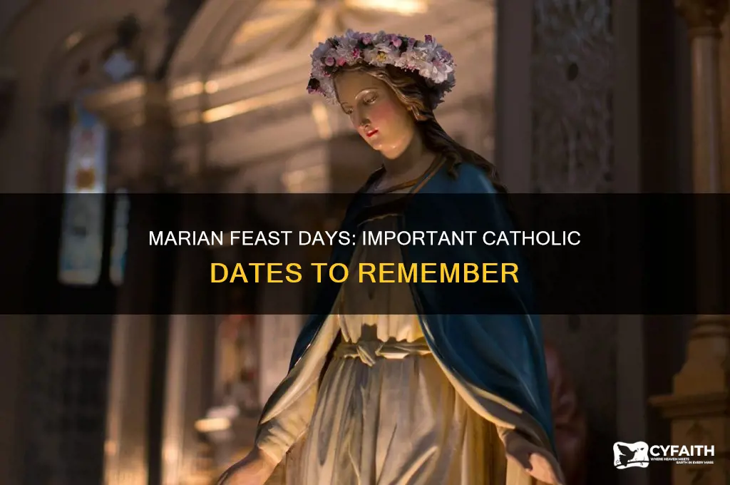 when are the marian feast days catholic