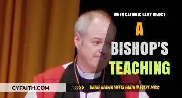 Laity Resistance: Bishops' Teachings Rejected