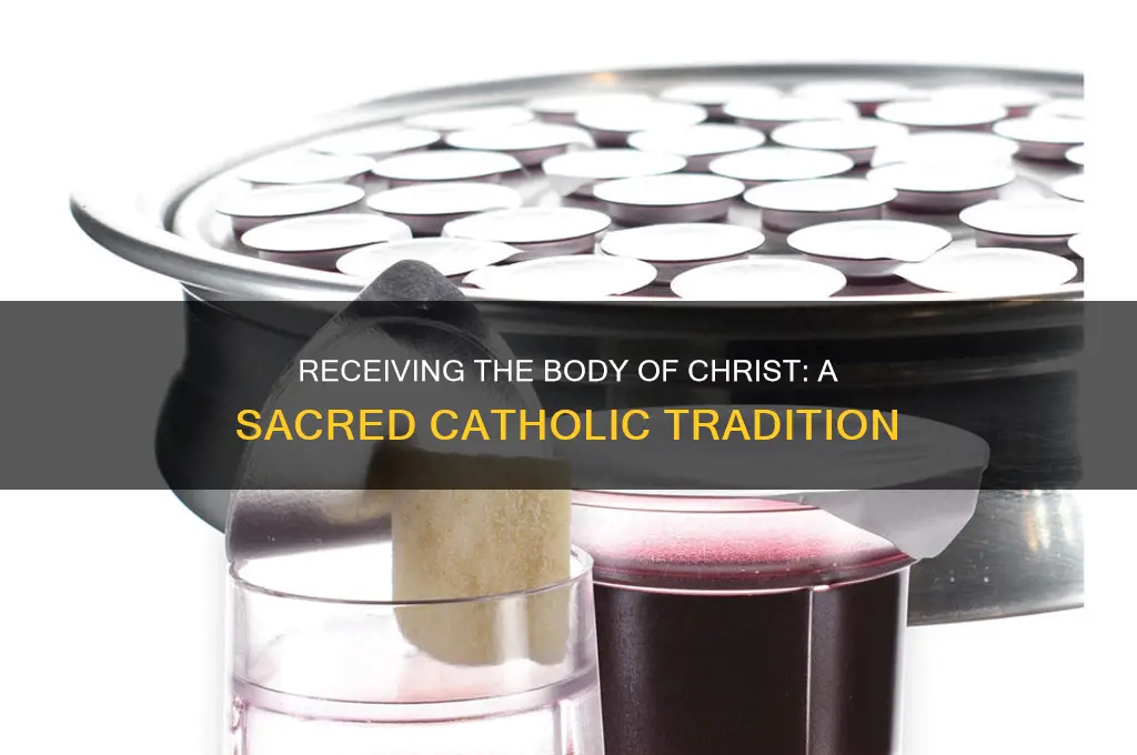 when catholics receive the body of christ