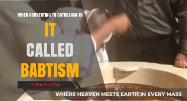 Understanding Baptism: Conversion to Catholicism