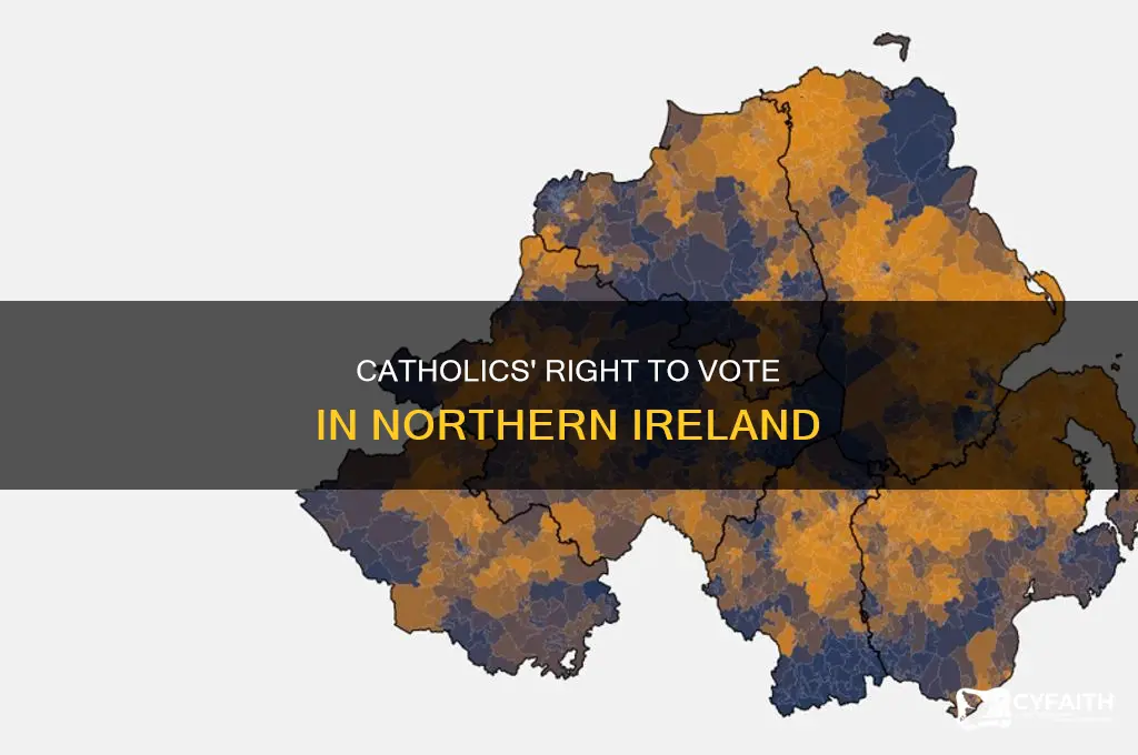 when could catholics vote in northern ireland