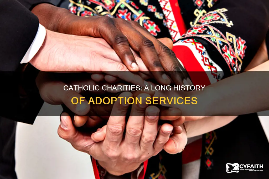 when did catholic charities start adoptions