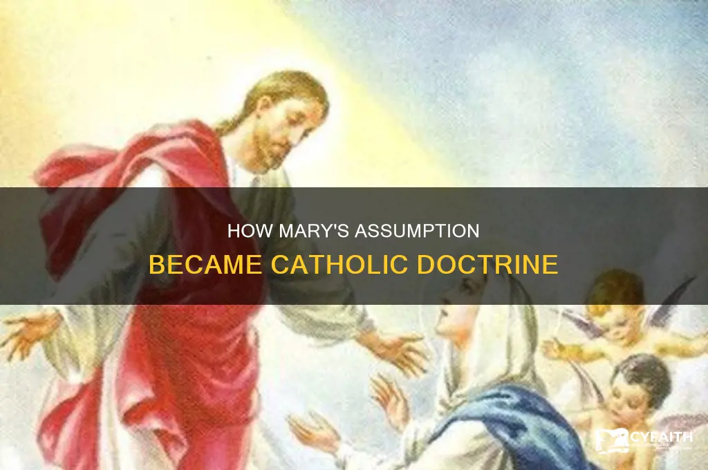 when did catholics decide mary ascended into heaven