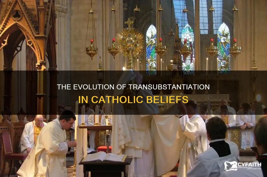 when did catholics first beklieve in transubstantiation