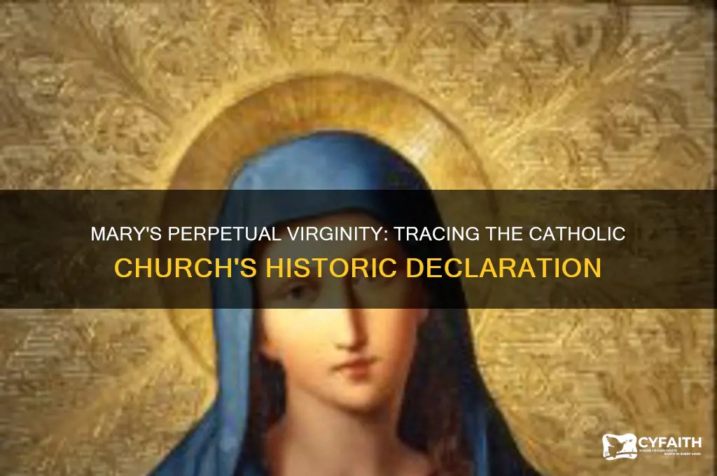 when did catholics first declare the perpetual virginity of mary