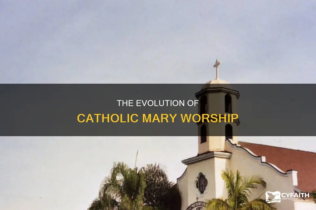 when did catholics start to worship mary