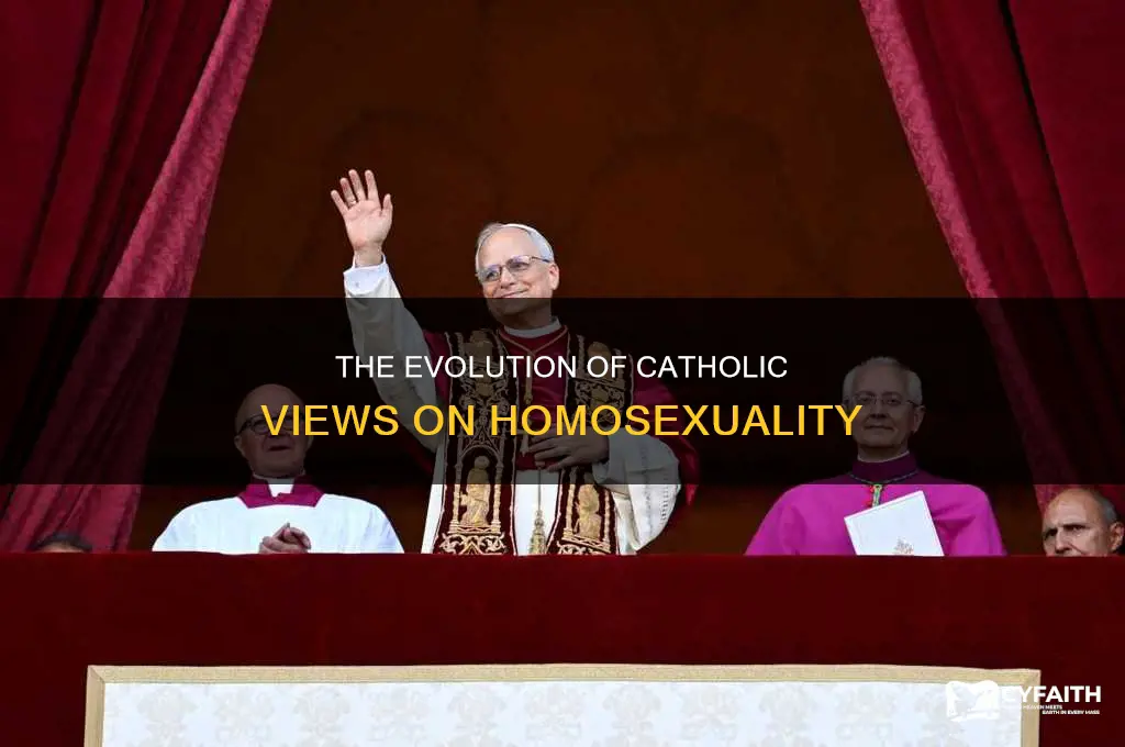 when did catholics syop liking gays