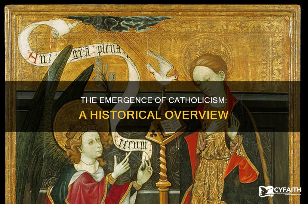 when did catholism become a thing