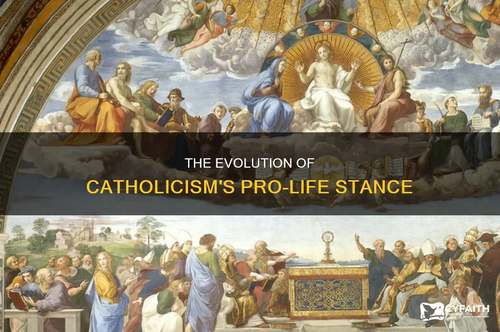 when did catholism become pro-life