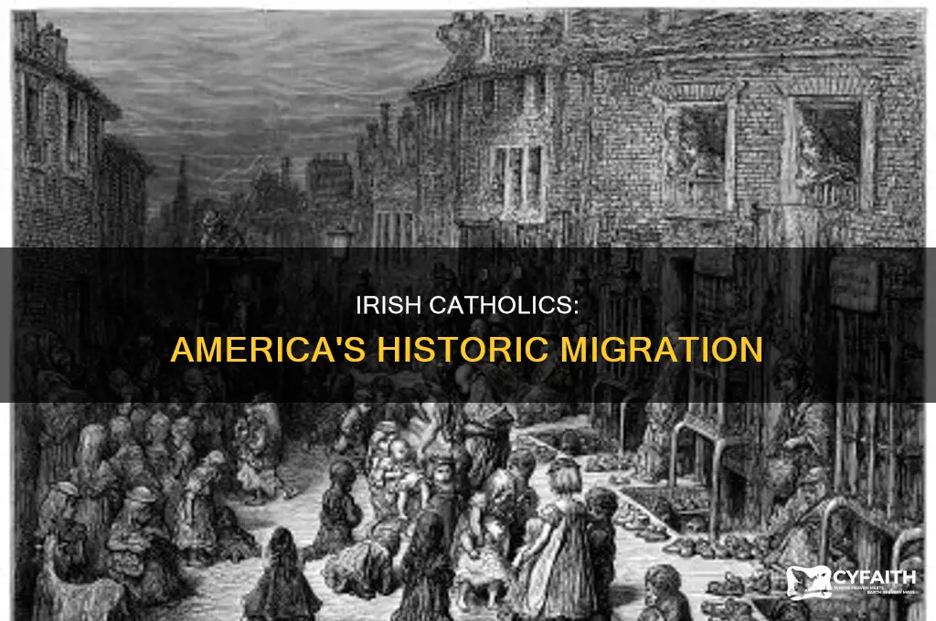 when did irish catholics come to ameica