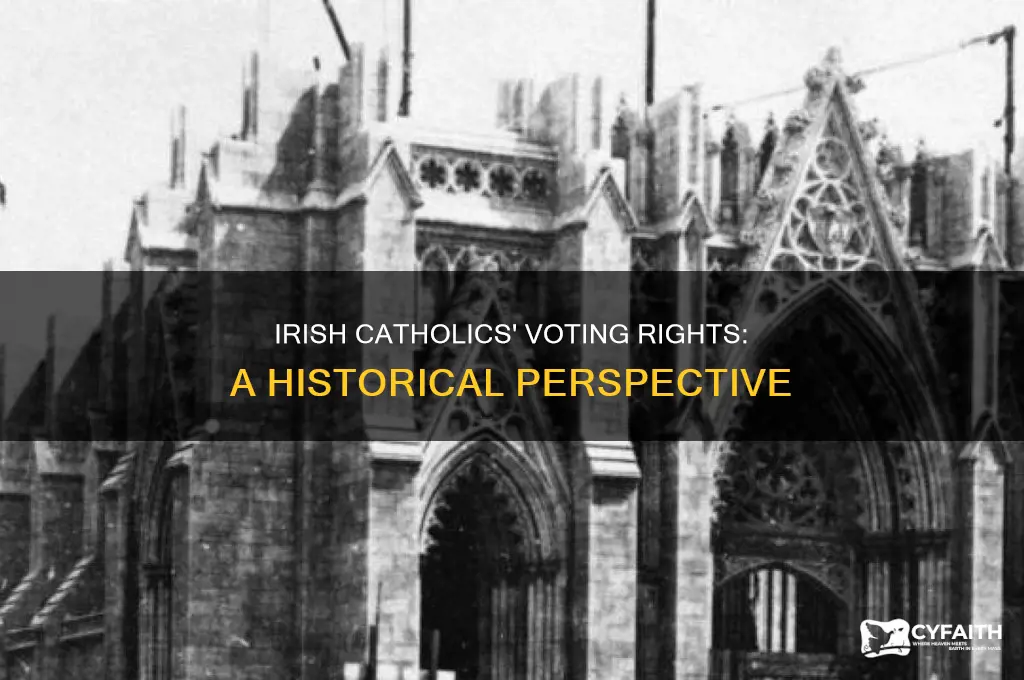 when did irish catholics get right to vote