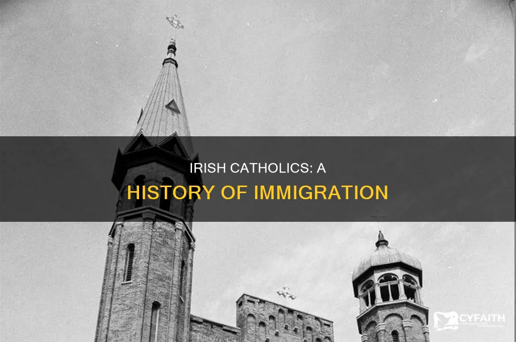 when did irish catholics immigrate here