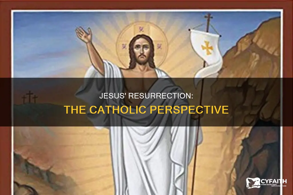 when did jesus rise from the dead catholic