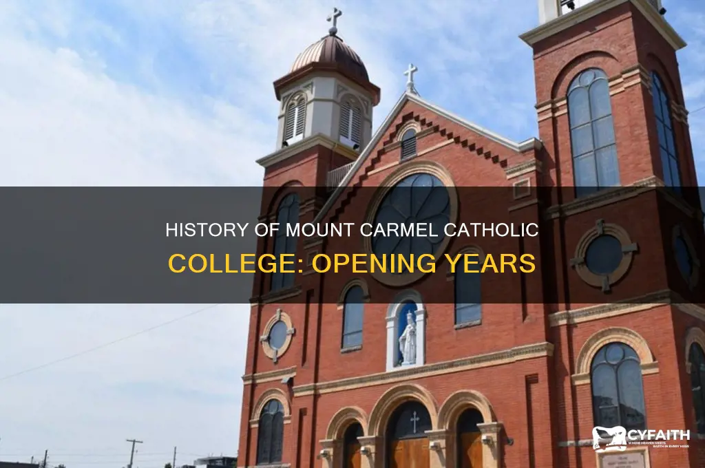 when did mount carmel catholic college open