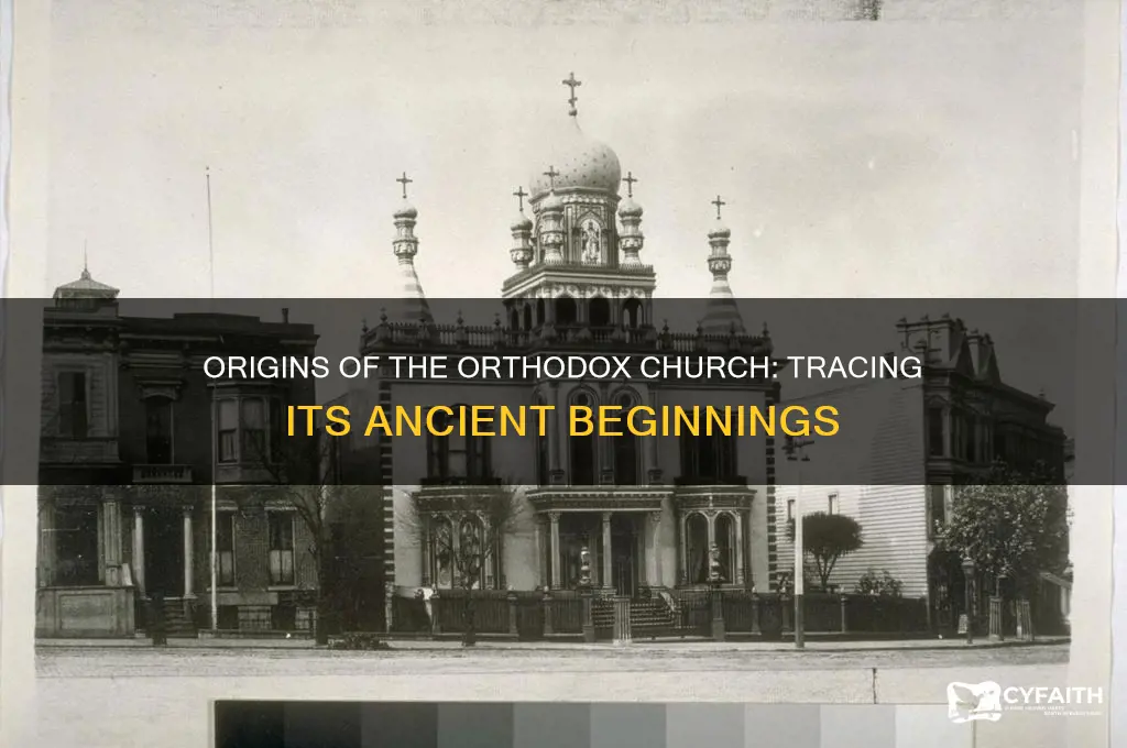 when did orthodox church start