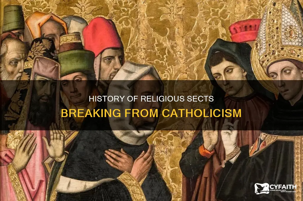 when did other sects of religionbreak from catholic