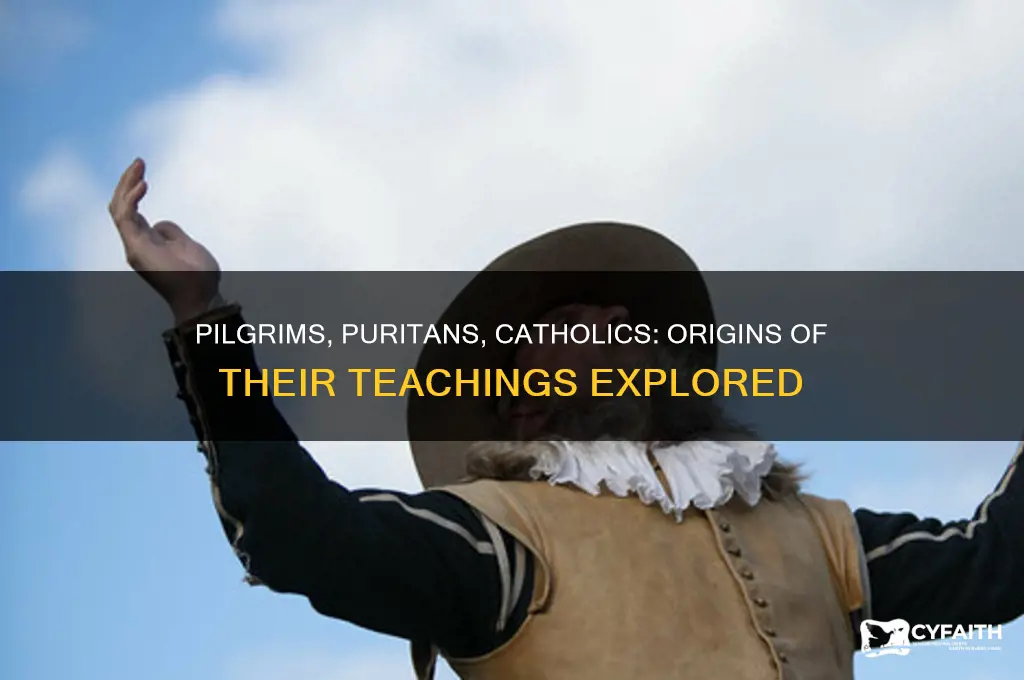 when did pilgrims purtians and catholics began their teachings