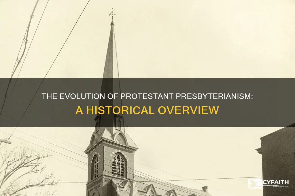 when did protestant presbyterian become