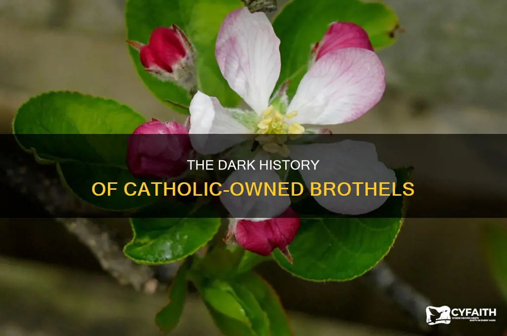 when did the catholic owned brothels