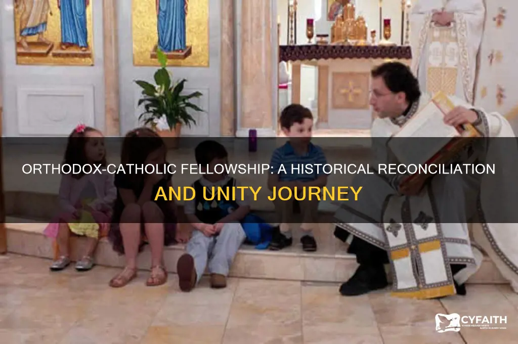 when did the orthodox became in fellowship with the catholic