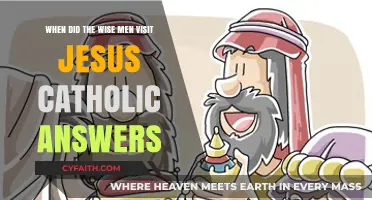 When Did the Wise Men Visit Jesus? Catholic Insights