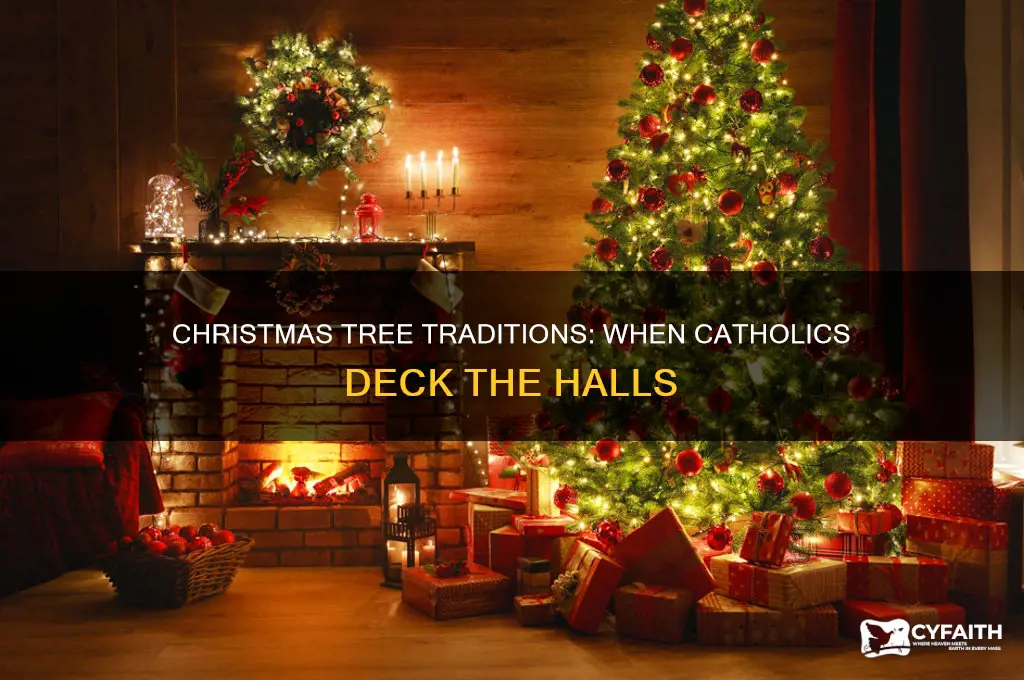 when do catholic put up christmas tree