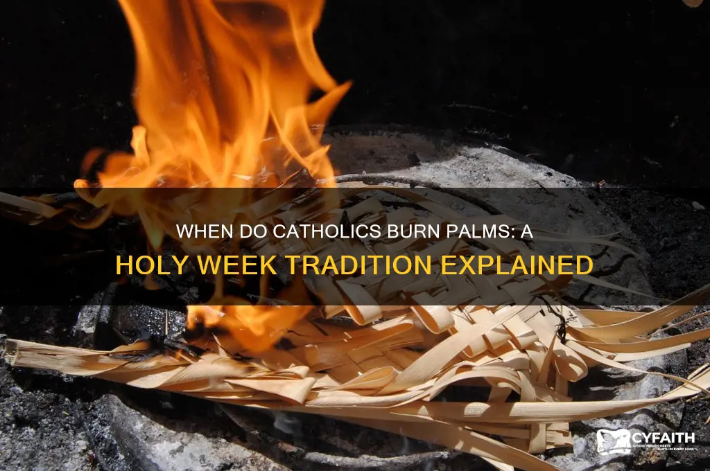 when do catholics burn palms