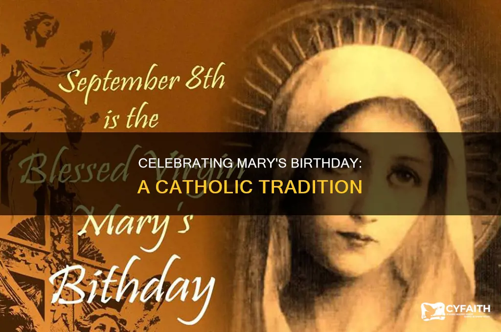 when do catholics celebrate mary