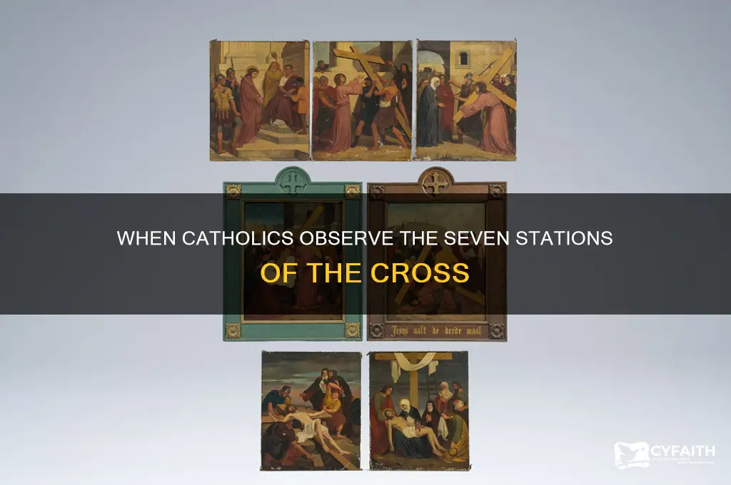 when do catholics di the 7 staions of the cross