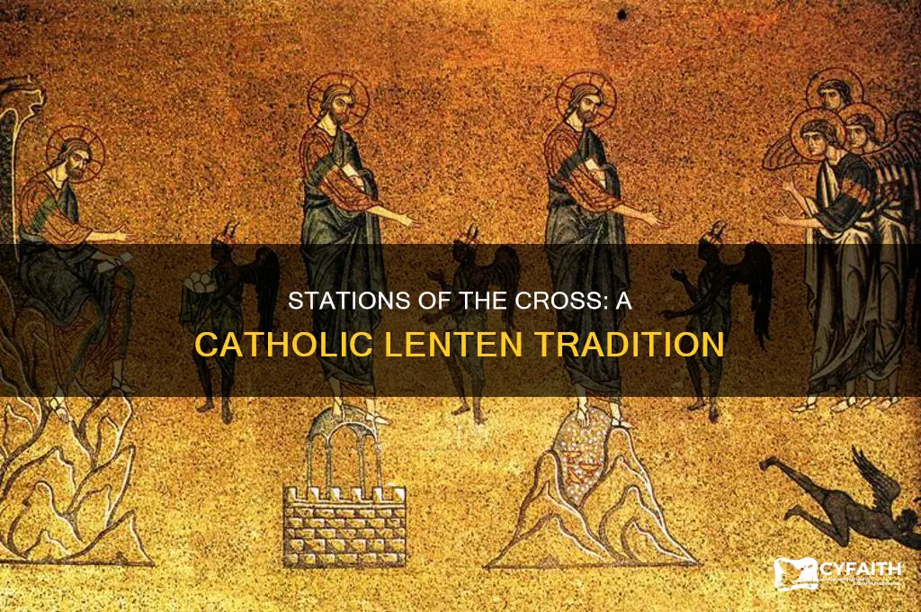 when do catholics do stations of the cross