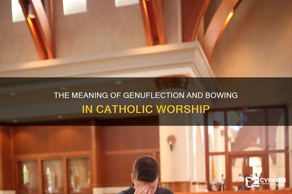 when do catholics genuflect or bow