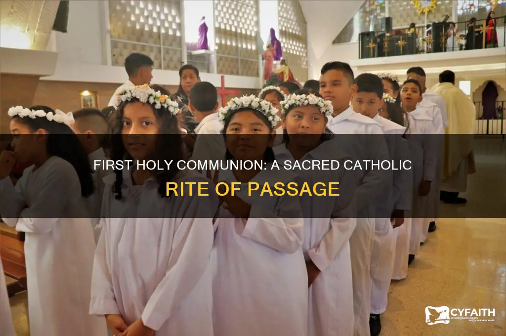 when do catholics make first holy communion