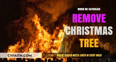 The Best Time for Catholics to Take Down Christmas Trees