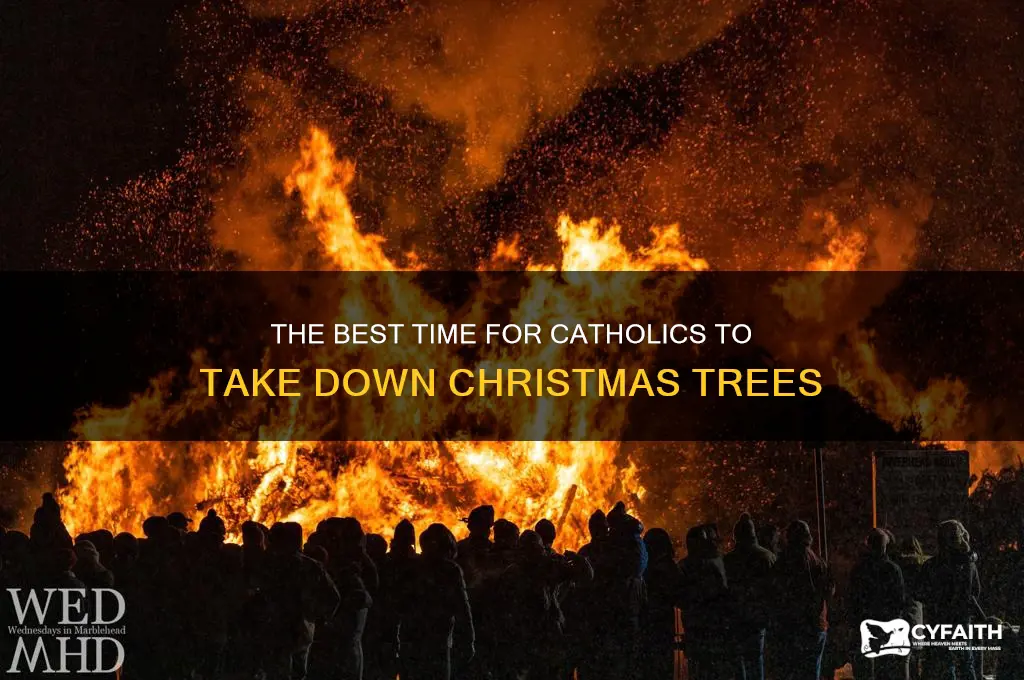 when do catholics remove christmas tree