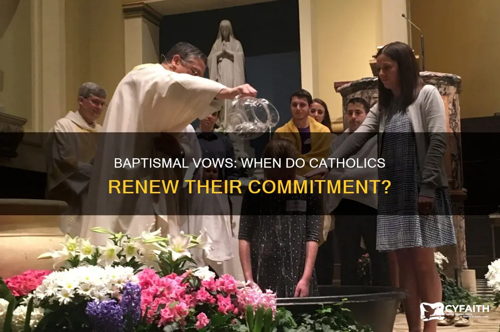 when do catholics renew baptismal vows
