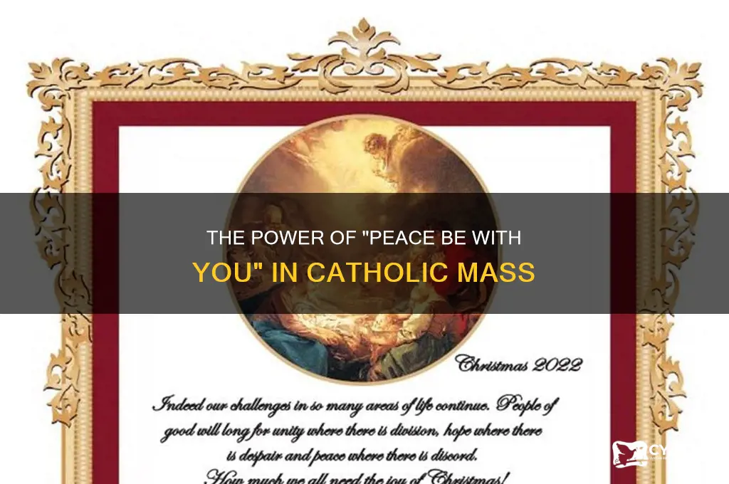 when do catholics say peace be with you