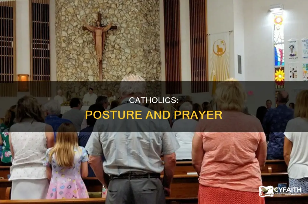 when do catholics sit stand and kneel
