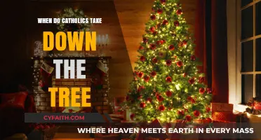 Taking Down the Christmas Tree: Catholic Traditions Explored