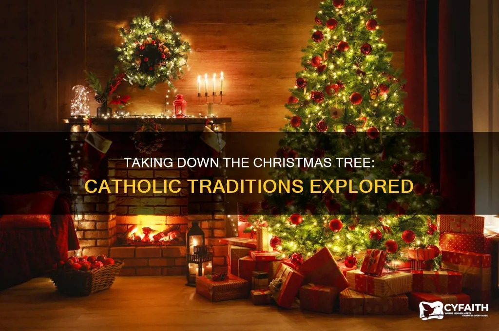 when do catholics take down the tree